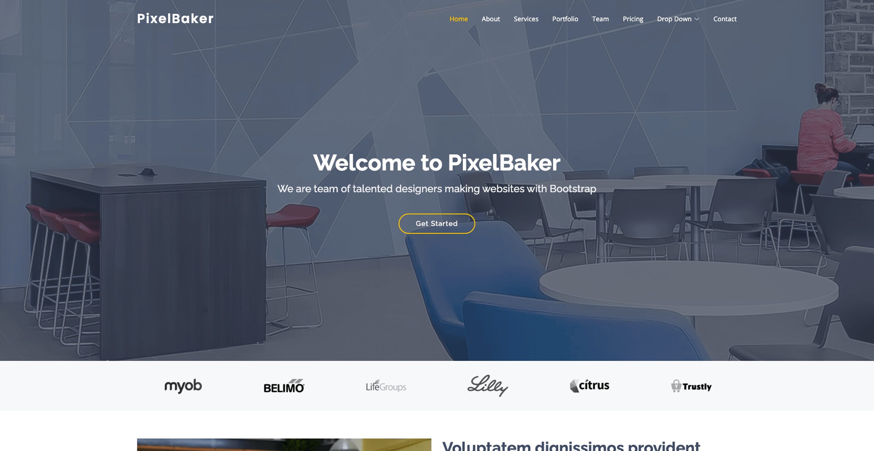 pixelbaker
