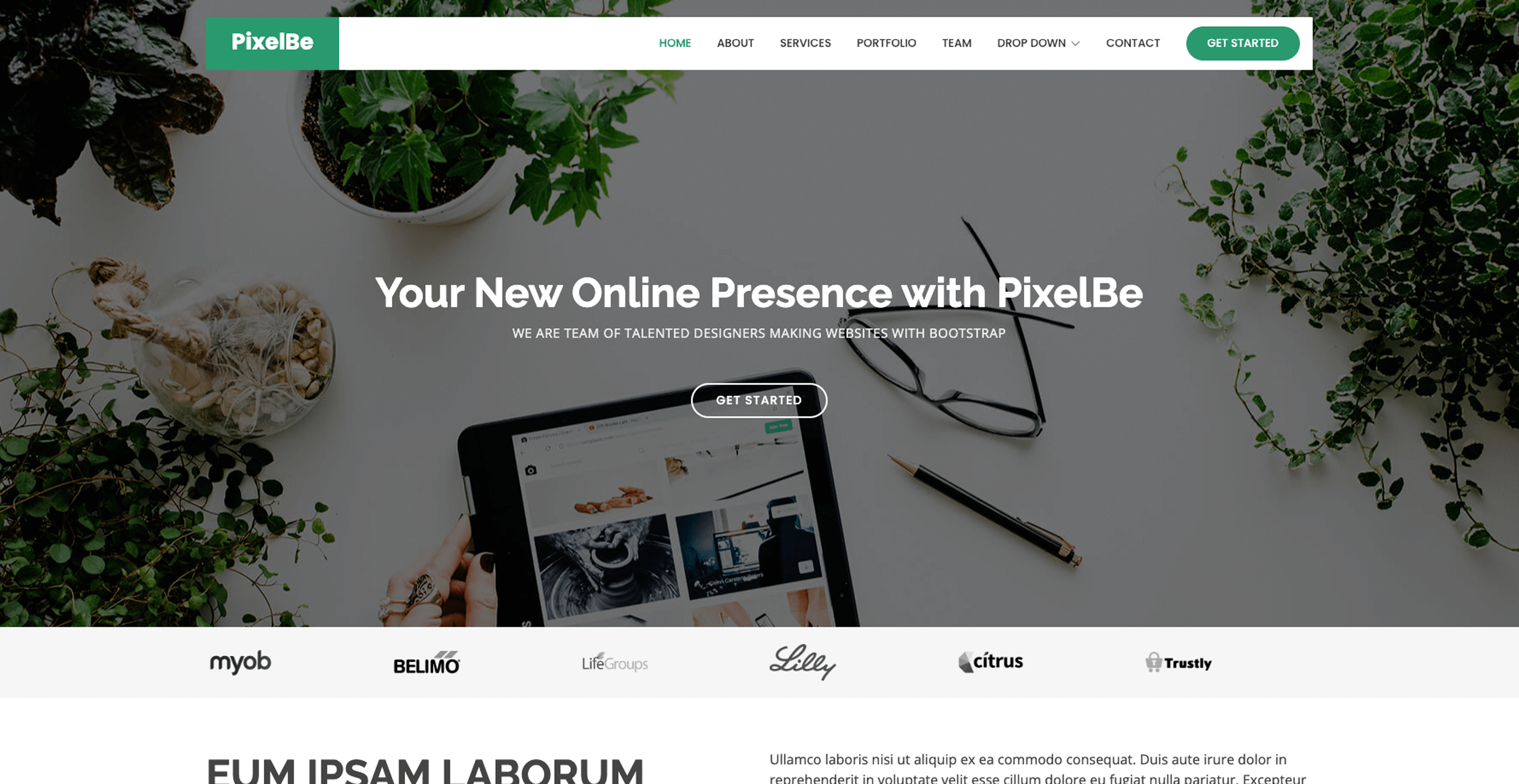 pixelbe