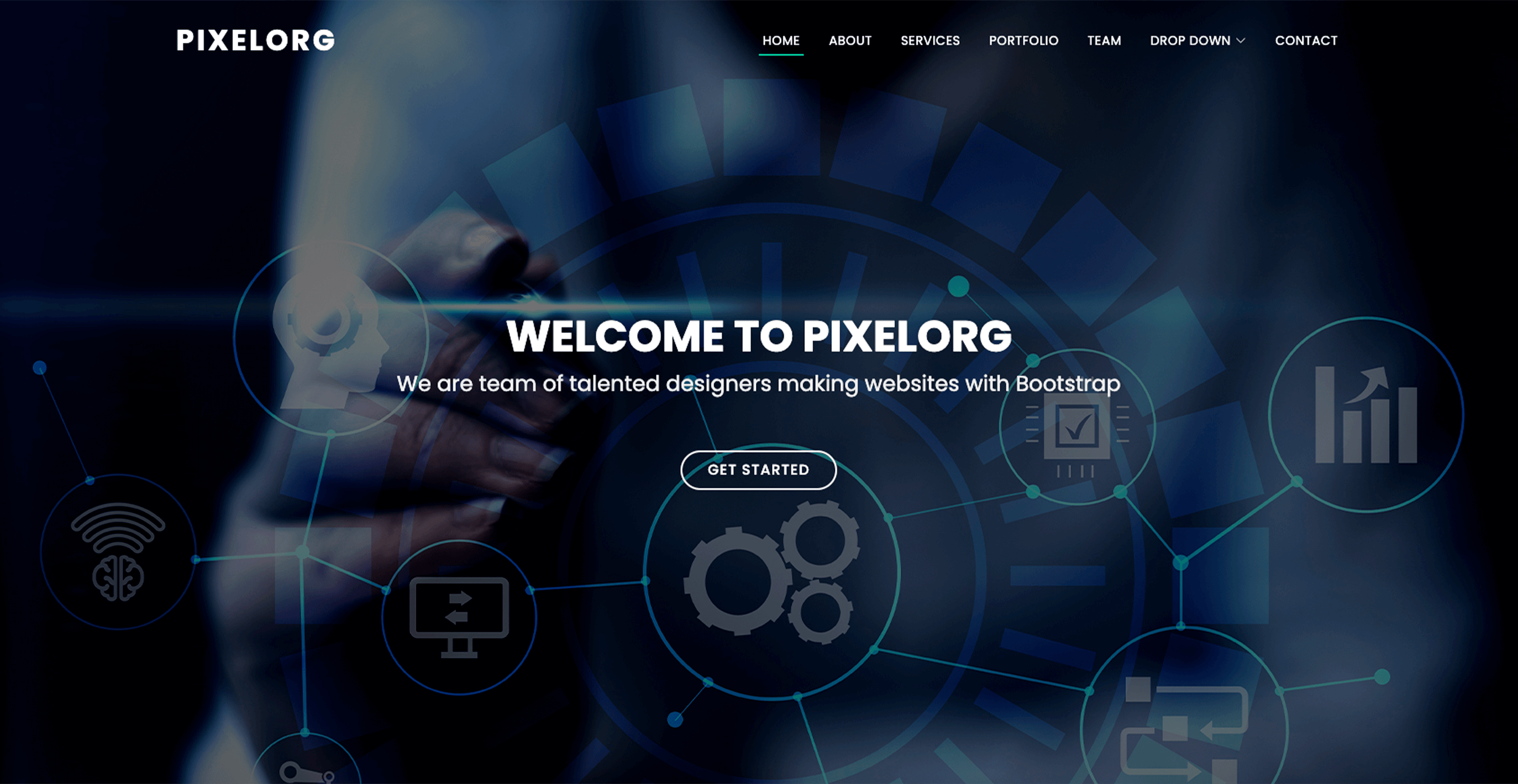 pixelorg